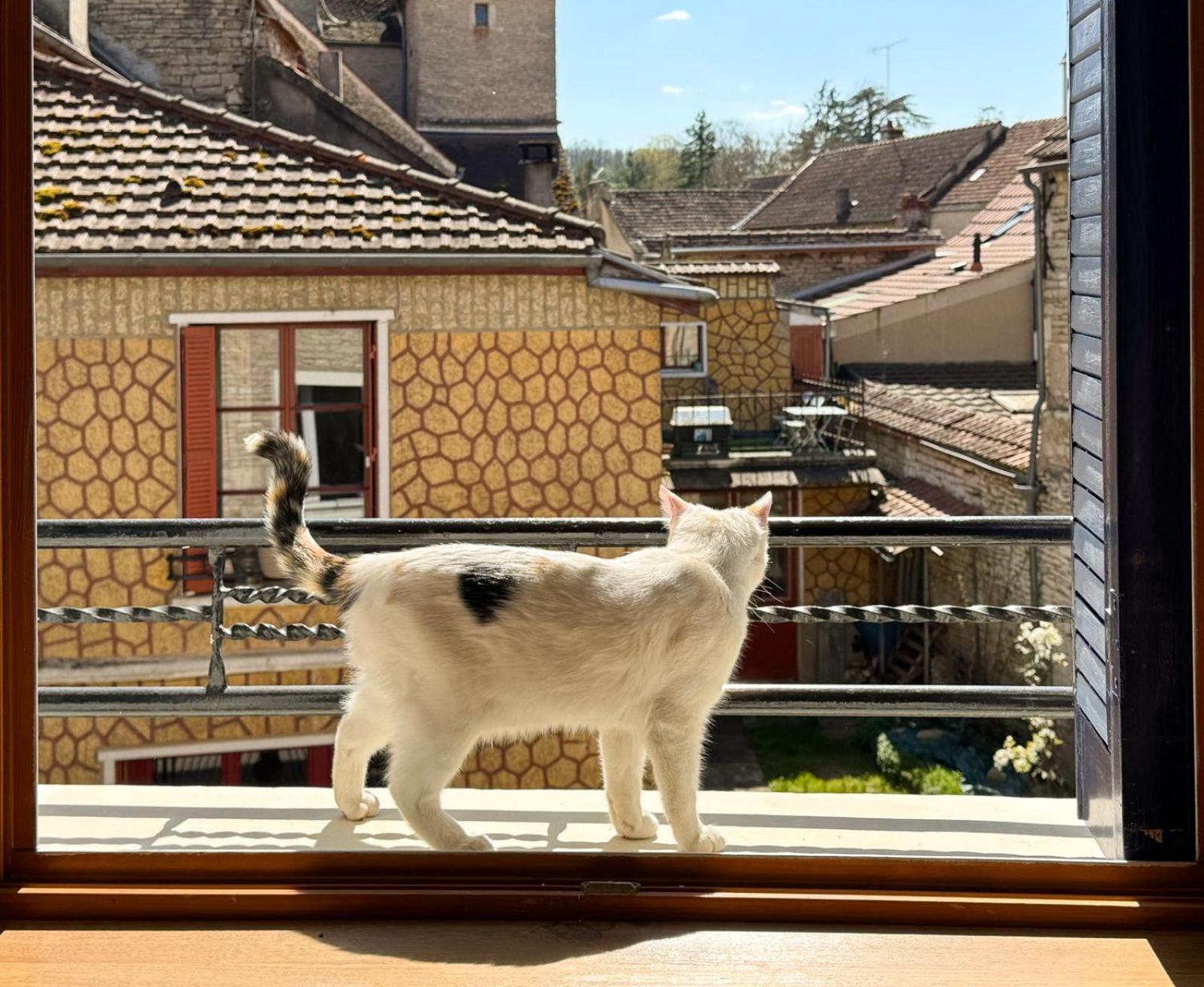 La Petite Maison Noyers-sur-Serein Kültér fotó